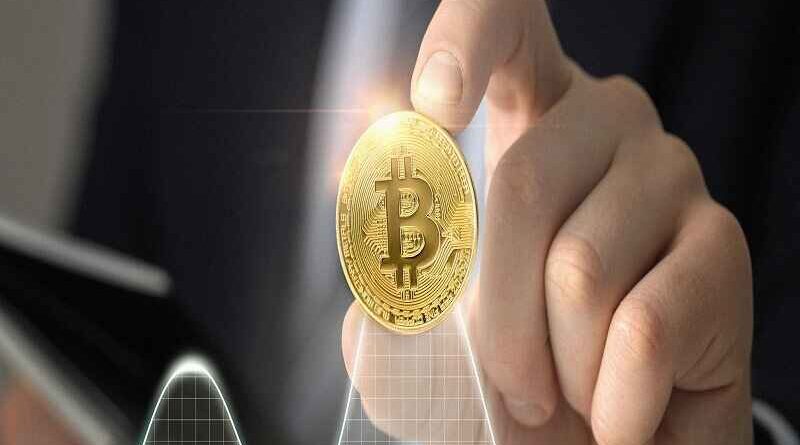 Crypto30x.com Catfish